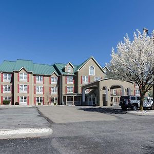 Max Meadows Comfort Inn Wytheville - Fort Chiswell Exterior photo