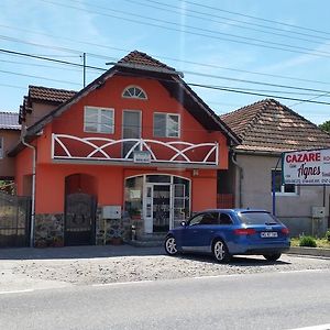 מלון Fantanele  Casa Agnes Vendeghaz Exterior photo