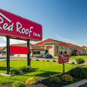 Red Roof Inn בטביה Exterior photo