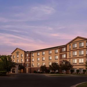 Homewood Suites By Hilton אורלנד פארק Exterior photo