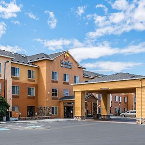 הרמיסטון Comfort Inn & Suites Exterior photo