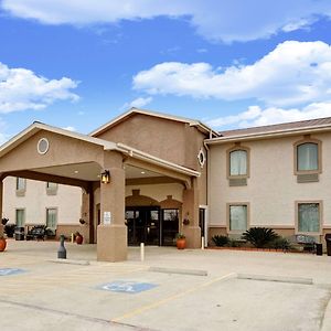 Rockdale Quality Inn Exterior photo