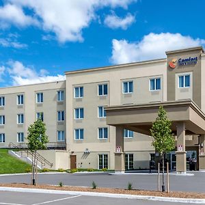 Greater Napanee Comfort Inn & Suites Exterior photo