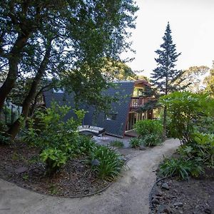 הוילה בריסביין Amazing Cabin-Style House With Decks, Hot Tub & Sun - Permit 2022-Str-2 Exterior photo