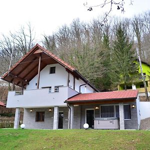 הוילה Holiday House With A Parking Space Ozalj, Karlovac - 19578 Exterior photo