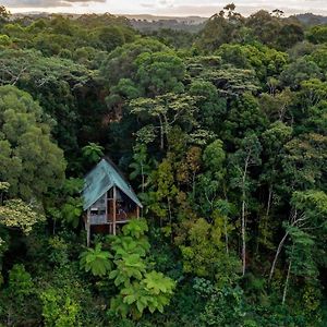 הוילה Butchers Creek Rose Gums Wilderness Retreat Exterior photo