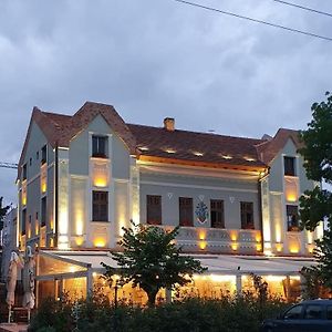מלון Ineu  Conacul Sfantul Sava Brancovici Exterior photo