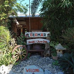 Bantaoay Reddoorz Hostel @ Deomar Hometel & Farm Cafe Ilocos Sur Exterior photo