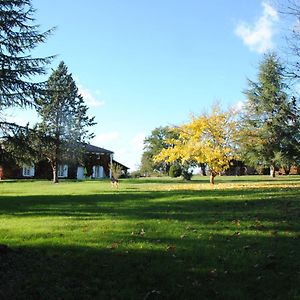 לינה וארוחת בוקר קונדום Le Chateau De Roquebere Exterior photo