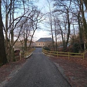 לינה וארוחת בוקר Saint-Aubin-des-Landes Le Moulin De Bretigneul Exterior photo