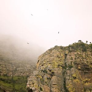 הודספרויט Cape Vulture Conservancy Exterior photo