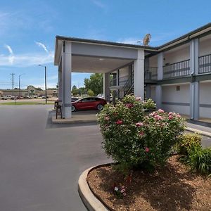 Econo Lodge Ripley Exterior photo