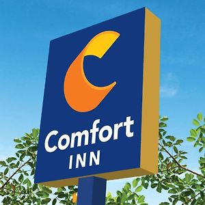 מרטינסוויל Comfort Inn Exterior photo