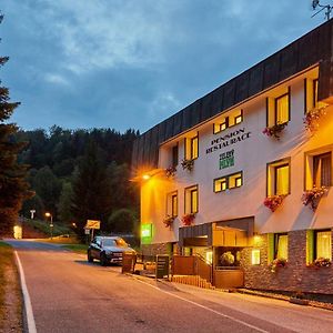 מלון Pension & Restaurace Zeleny Mlyn Žacléř Exterior photo