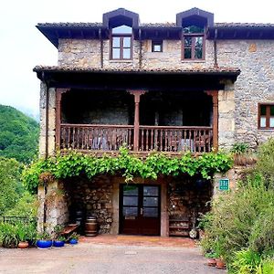 Collía Hotel Posada Del Valle Exterior photo