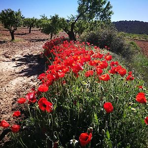 הוילה El Sauco Cortijo Los Soledad Exterior photo