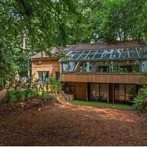 הוילה Clapton in Gordano 5 Star Luxury Woodland Retreat Sleeps 12 Hot Tub Sauna Exterior photo