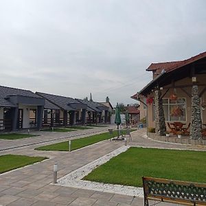 מלון Sebeş Vila Ge Exterior photo