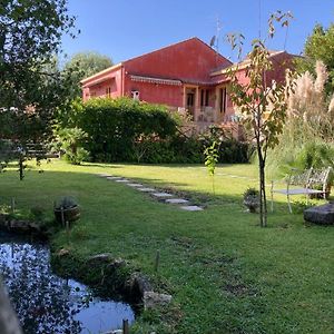 זפראנה אטניאה Casa Gino Petrulli Etna, Villa Con Piscina Exterior photo