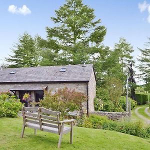 Nercwys Honeysuckle Cottage Exterior photo