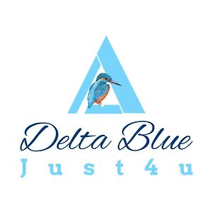 הוילה Maliuc Delta Blue Exterior photo