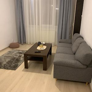 Mediaş Confort Apartment Exterior photo