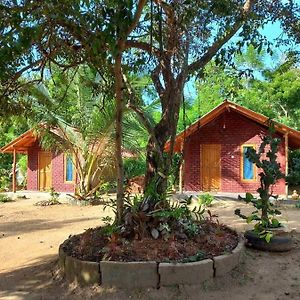 Ambanpola Hotel Chanaya Exterior photo