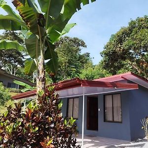 דירות San Rafael  Rest And Relax In This Beautiful Tiny House. Exterior photo