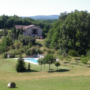 הוילה Castelnau-de-Montmiral La Petite Toscane, Gite Familial Avec Piscine Et Jacuzzi Exterior photo