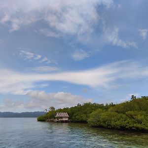 Besir Pesona Papua Homestay Exterior photo