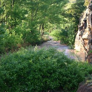 בית הארחה Valbona 	Alojamiento Rural Sierra De Gudar Exterior photo