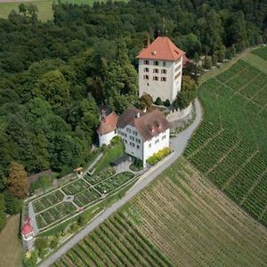 Gelfingen Ferienwohnung Schloss Heidegg Exterior photo