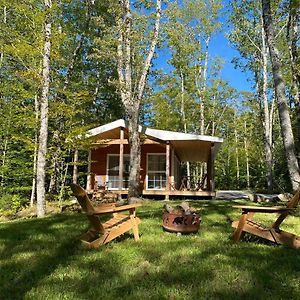 East Kemptville Bear Cabin - Cozy Forest Retreat Nearby Lake Exterior photo