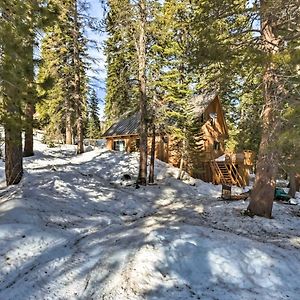 הוילה Tamarack Bear Valley Cabin - Ski To Cross Country Trails! Exterior photo