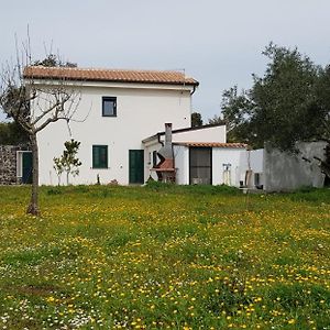דירות Casa Matilda - Abbasanta - Sardegna - Iun R4877 Exterior photo