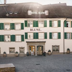 Blume Baden Hotel & Restaurant באדן Exterior photo