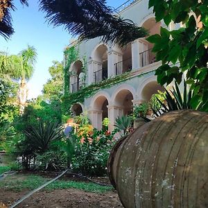 לינה וארוחת בוקר לאפיטוס Babil Bahceleri - Gardens Of Babel Exterior photo