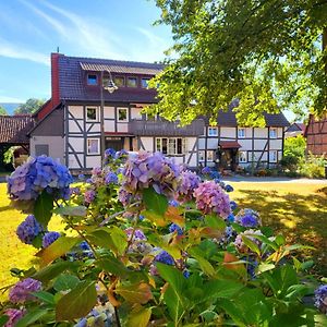 דירות Hannoversch Münden Gaestehaus Am Weser-Radweg Exterior photo