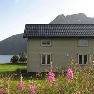 הוילה Laupstad Charming House By The Sea, Lofoten! Exterior photo