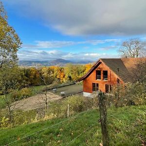 דירות Gempen Wunderschoenes Gaestehaus Mit Grandioser Aussicht Exterior photo