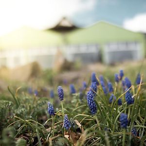 אוסלאר Hotel Froehlich-Hoeche Exterior photo