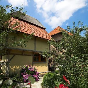 מול B&B Tspijker Exterior photo