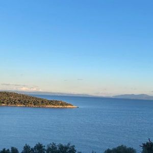 הוילה Marathos  The Bower - Volos Free Diving Lesson Exterior photo