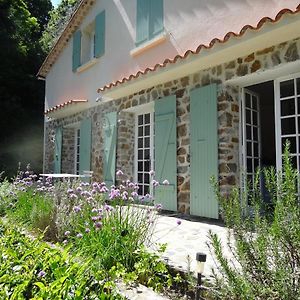 הוילה סן-ז'אן-דו-גאר Magnifique Maison Avec Piscine Dans Un Milieu Verdoyant Proche Des Commodites Exterior photo