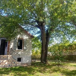 Cazeres Villa Garona Avec Billard Proche Pyrenees Exterior photo