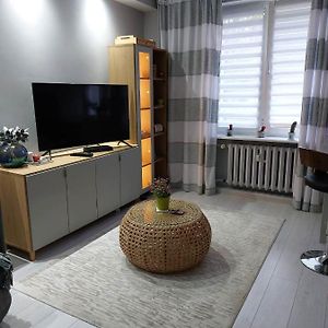 דירות Bee Happy Apartament Września Exterior photo