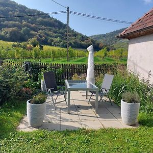 הוילה Rossatzbach Ferienhaus In Der Wachau Exterior photo