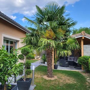 דירות La Chapelle-de-Guinchay La Datcha D'Elena Exterior photo