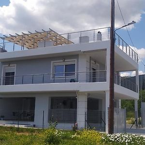 הוילה Alykes וולוס Exterior photo