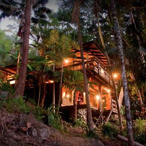 הוילה Currumbin Valley Currumbin Rainforest Treehouse Exterior photo